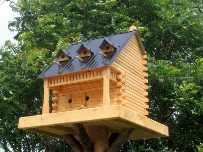 Bird Houses - The BackYard Naturalist | The BackYard ...